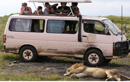 masai mara