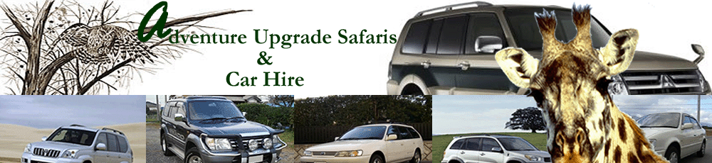 adventure upgrade car hire