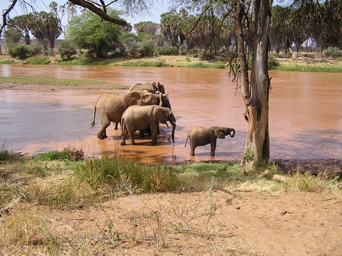 masai mara