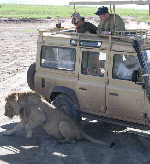 masai mara