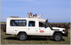 Car Hire in Kenya - Safari Vehicles For Rental